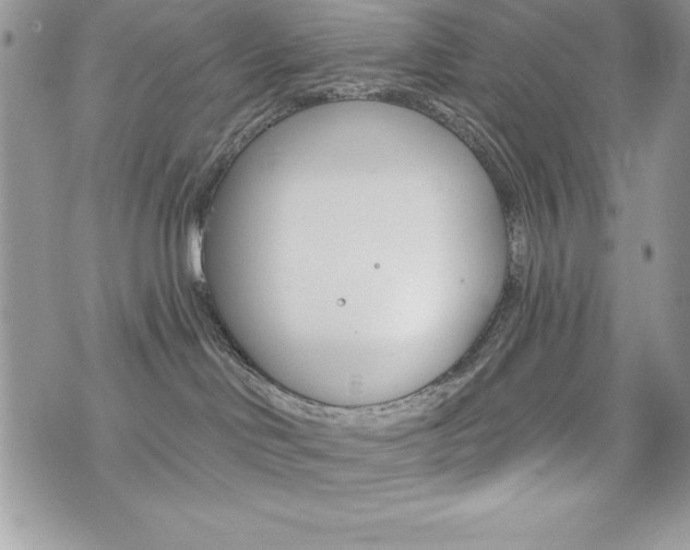 X0000076300046200609290740