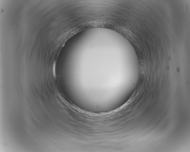 X0000076300047200609290740