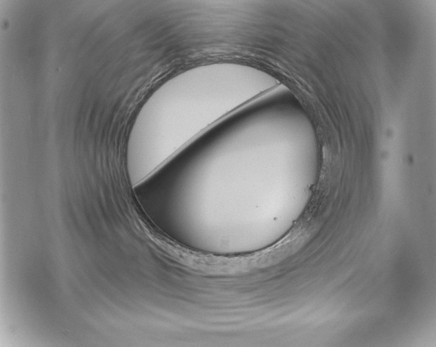 X0000076300048200609290740