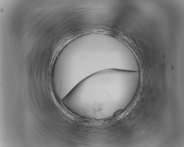 X0000076300049200609290739