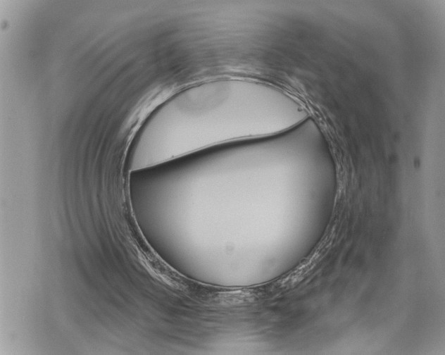 X0000076300050200609290739