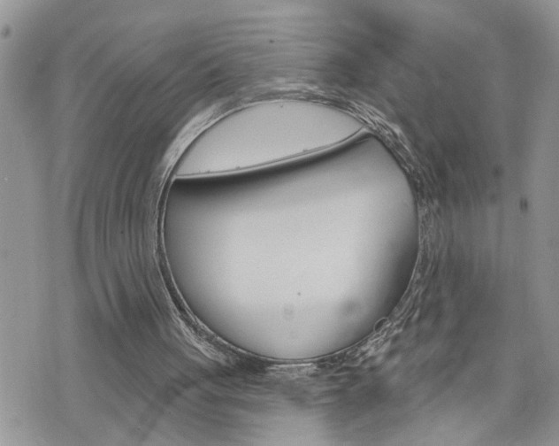 X0000076300051200609290739