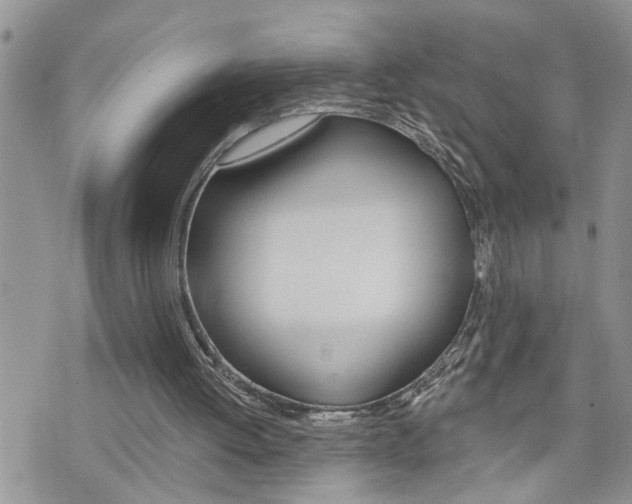 X0000076300052200609290739