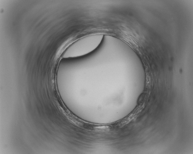 X0000076300053200609290739