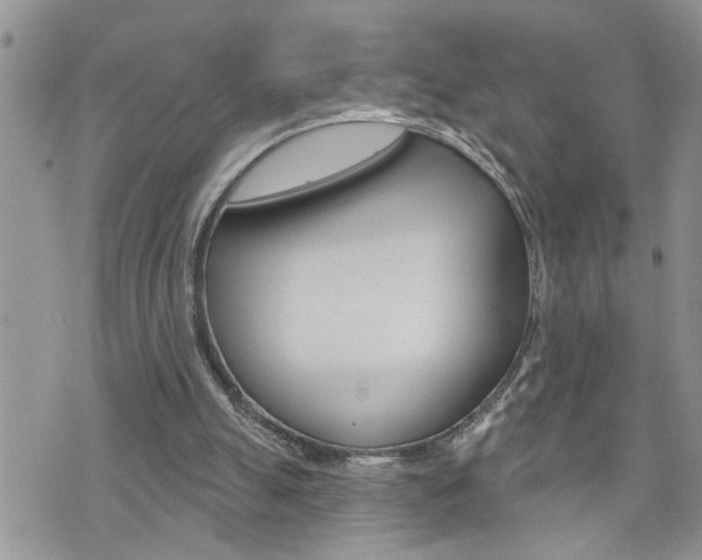 X0000076300055200609290739