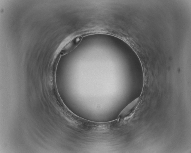 X0000076300056200609290739