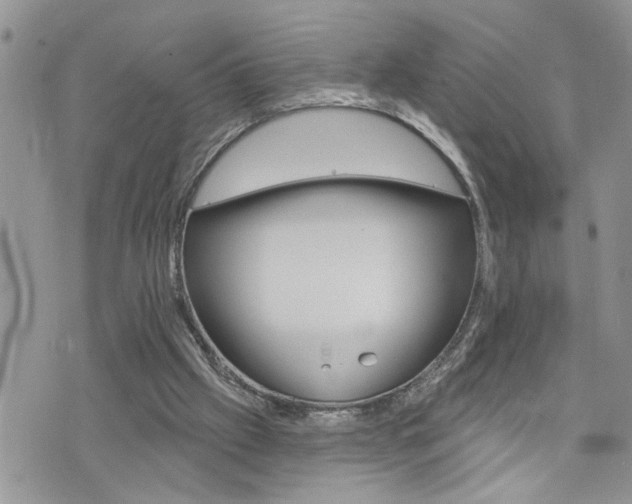 X0000076300057200609290739