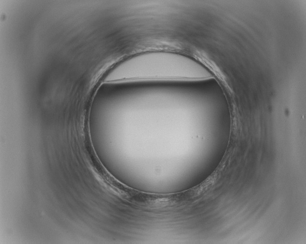 X0000076300058200609290739