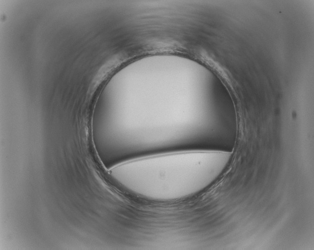 X0000076300059200609290739