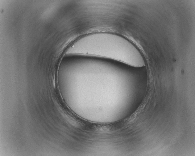 X0000076300062200609290739