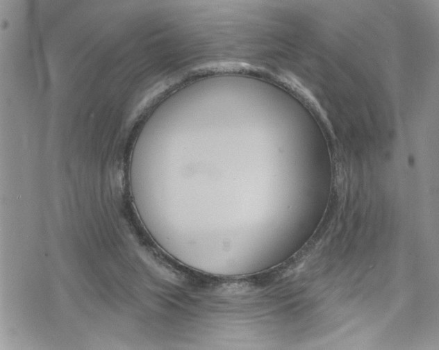 X0000076300063200609290739