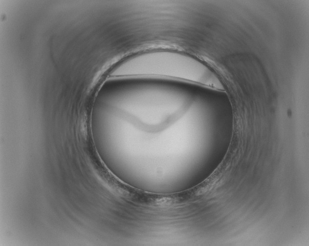 X0000076300064200609290739