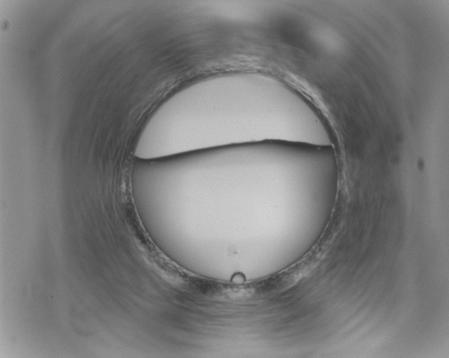 X0000076300065200609290739