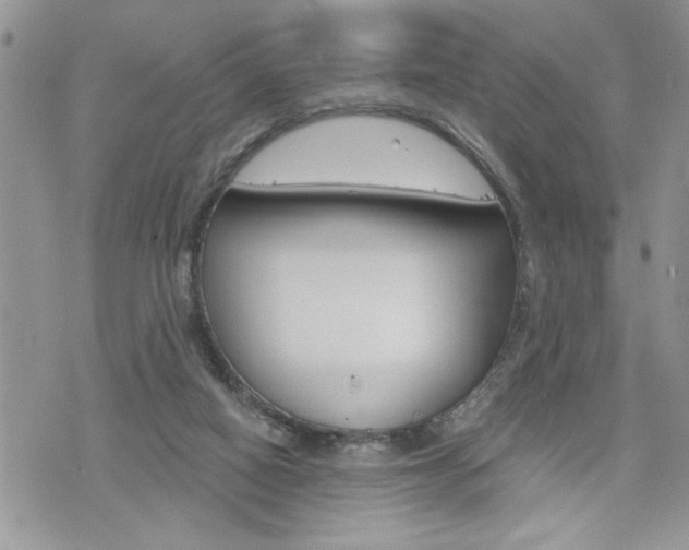 X0000076300066200609290739