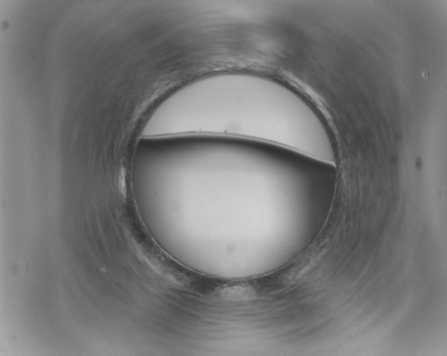 X0000076300067200609290739