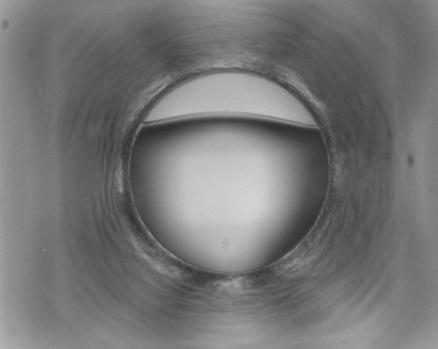 X0000076300068200609290739