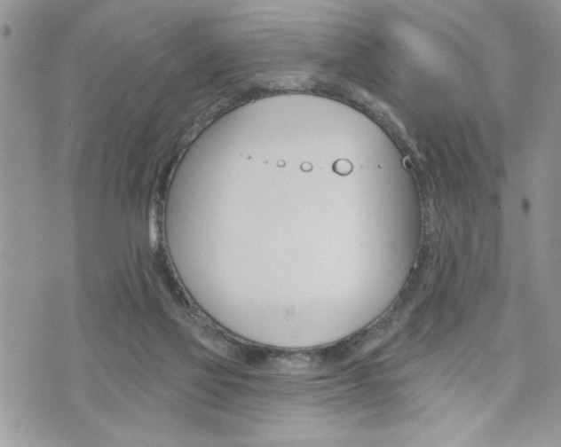 X0000076300069200609290739