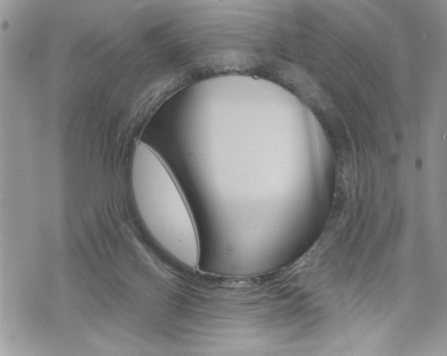 X0000076300070200609290739