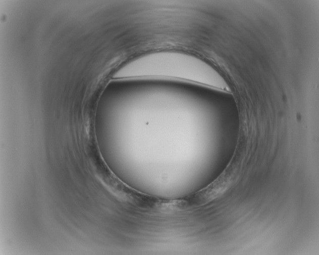 X0000076300072200609290739