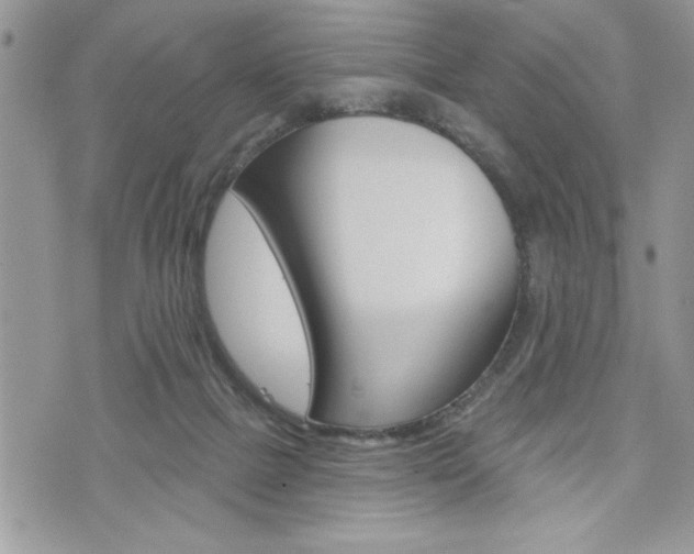 X0000076300073200609290739