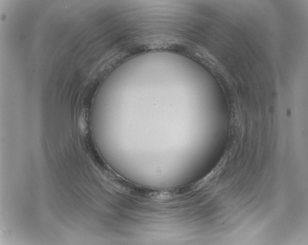 X0000076300074200609290739