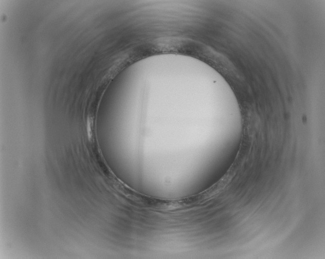 X0000076300075200609290739