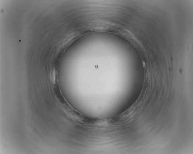 X0000076300076200609290739