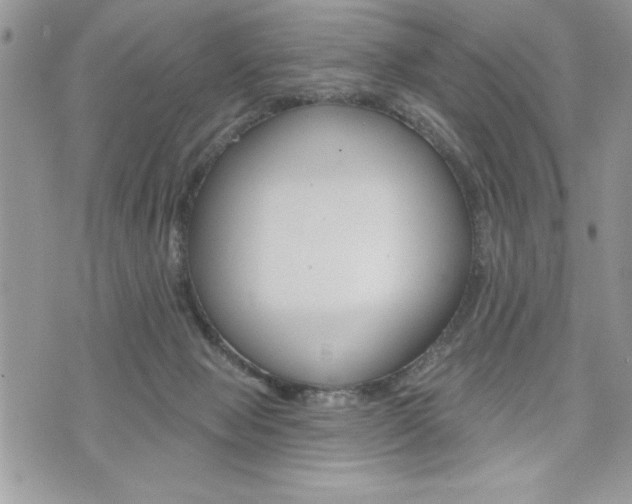 X0000076300077200609290739