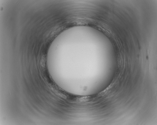 X0000076300078200609290739