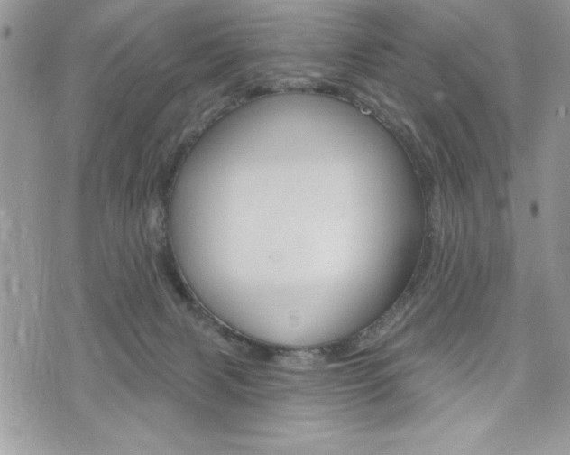 X0000076300079200609290739