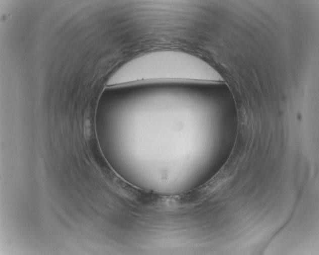 X0000076300080200609290739