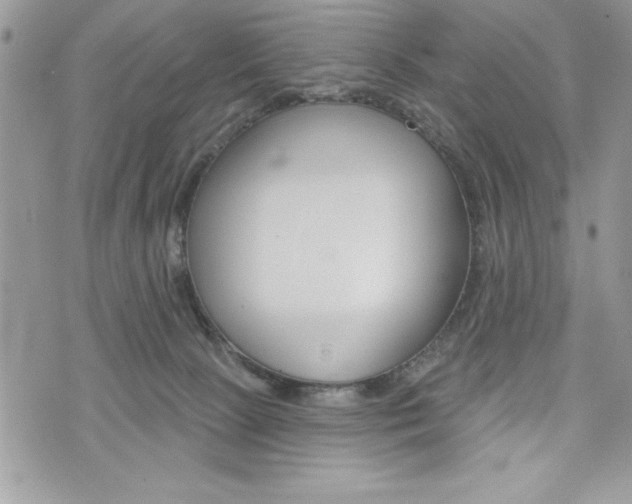 X0000076300081200609290740