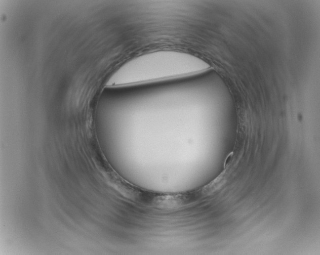 X0000076300082200609290740