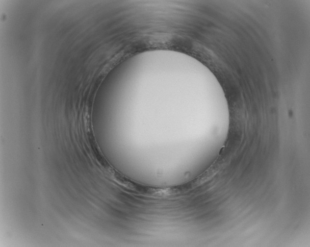 X0000076300083200609290740