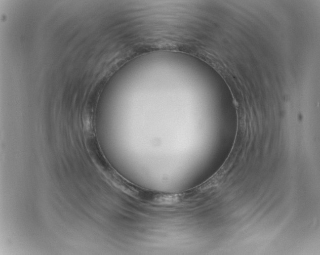 X0000076300084200609290740