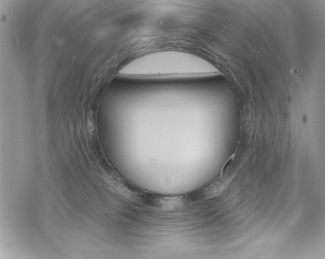 X0000076300085200609290740