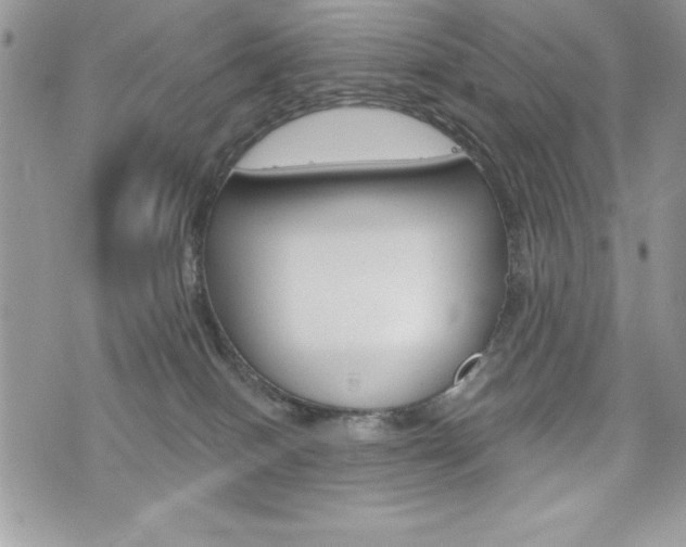 X0000076300086200609290740