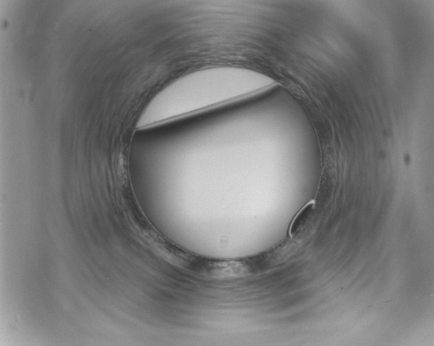 X0000076300087200609290740