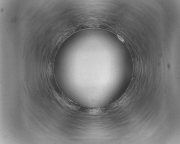 X0000076300088200609290740