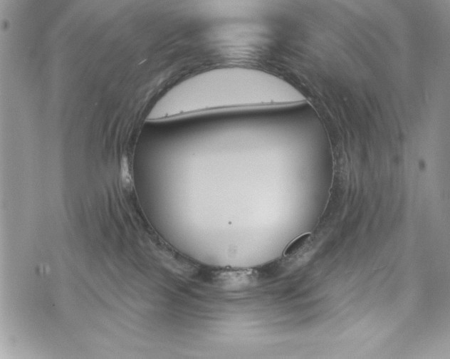 X0000076300089200609290740