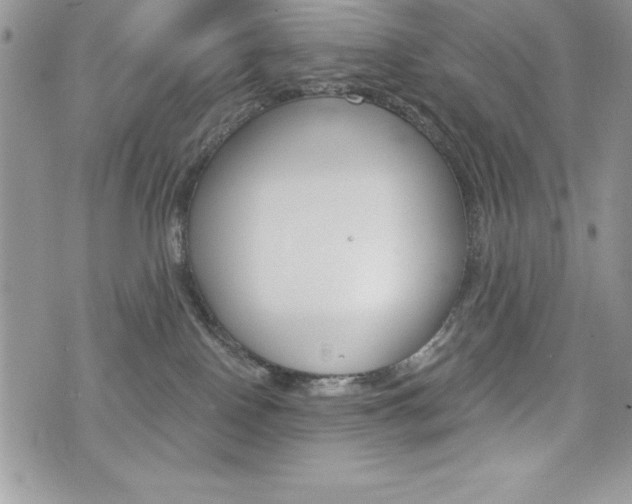 X0000076300090200609290740