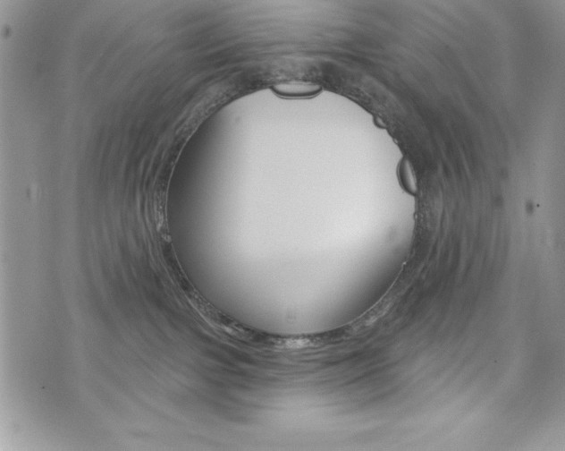 X0000076300091200609290740