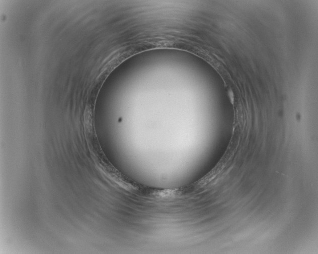 X0000076300092200609290740