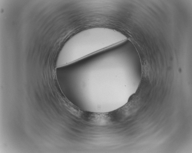 X0000076300093200609290740