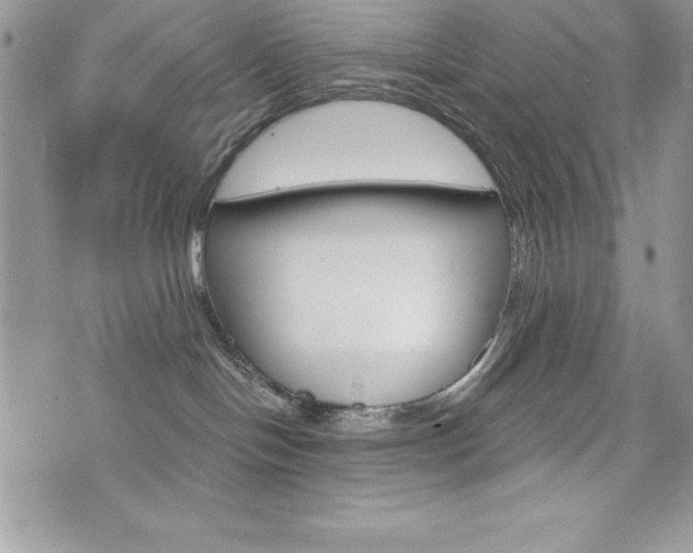 X0000076300094200609290740