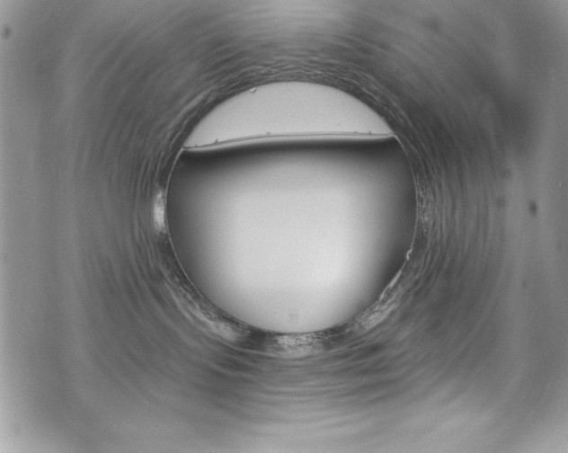 X0000076300095200609290740