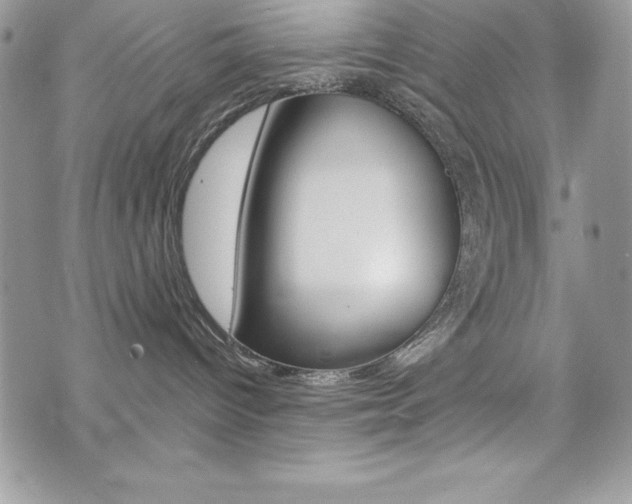 X0000076300096200609290740