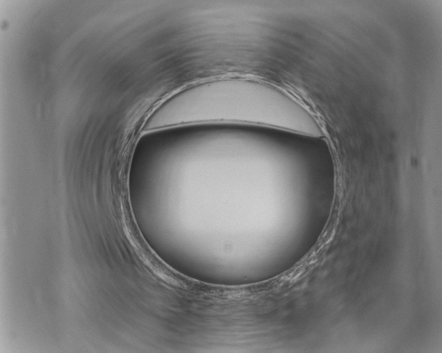 X0000076300097200609290739