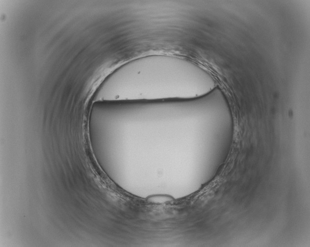 X0000076300098200609290739