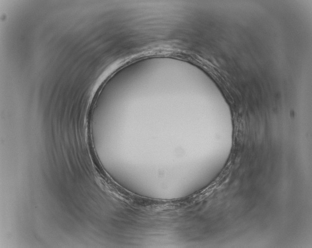 X0000076300100200609290739